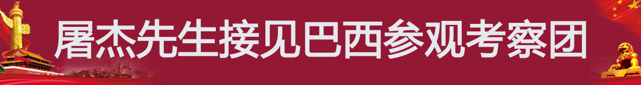 屠杰先生接见巴西参观考察团